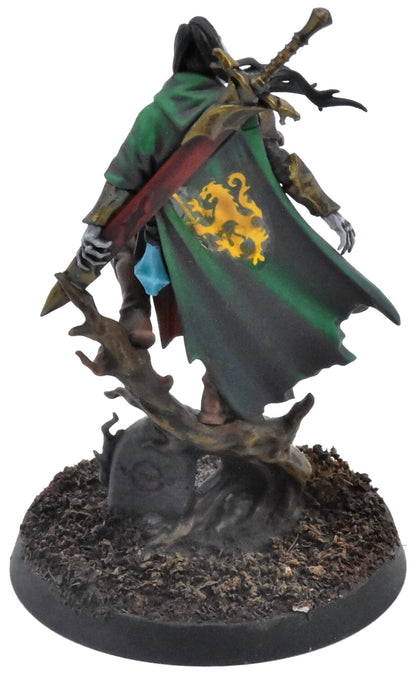 SOULBLIGHT GRAVELORDS Cado Ezechiar The Hollow King #1 PRO PAINTED Sigmar 0889