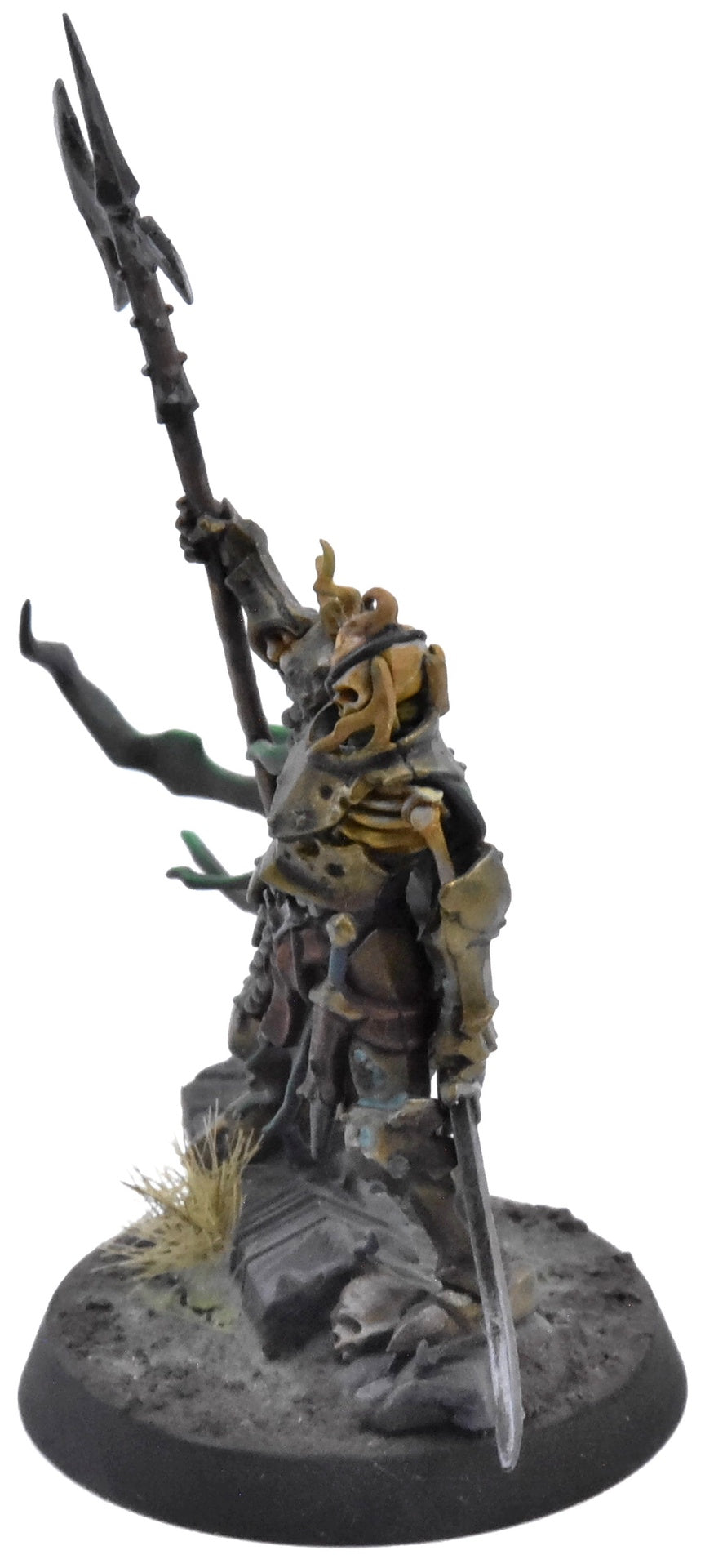 SOULBLIGHT GRAVELORDS Watch Captain Halgrim #1 PRO PAINTED Sigmar 0902