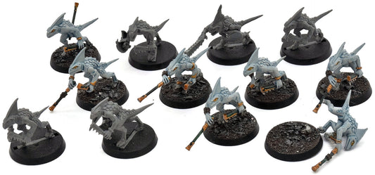 SERAPHON 12 Skinks #2 Warhammer Sigmar 6097