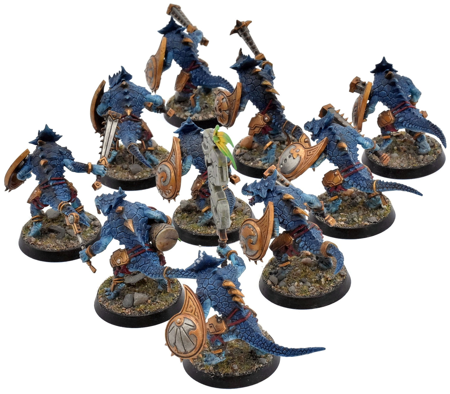 SERAPHON 10 Saurus Warriors #2 WELL PAINTED Warhammer Sigmar 6226