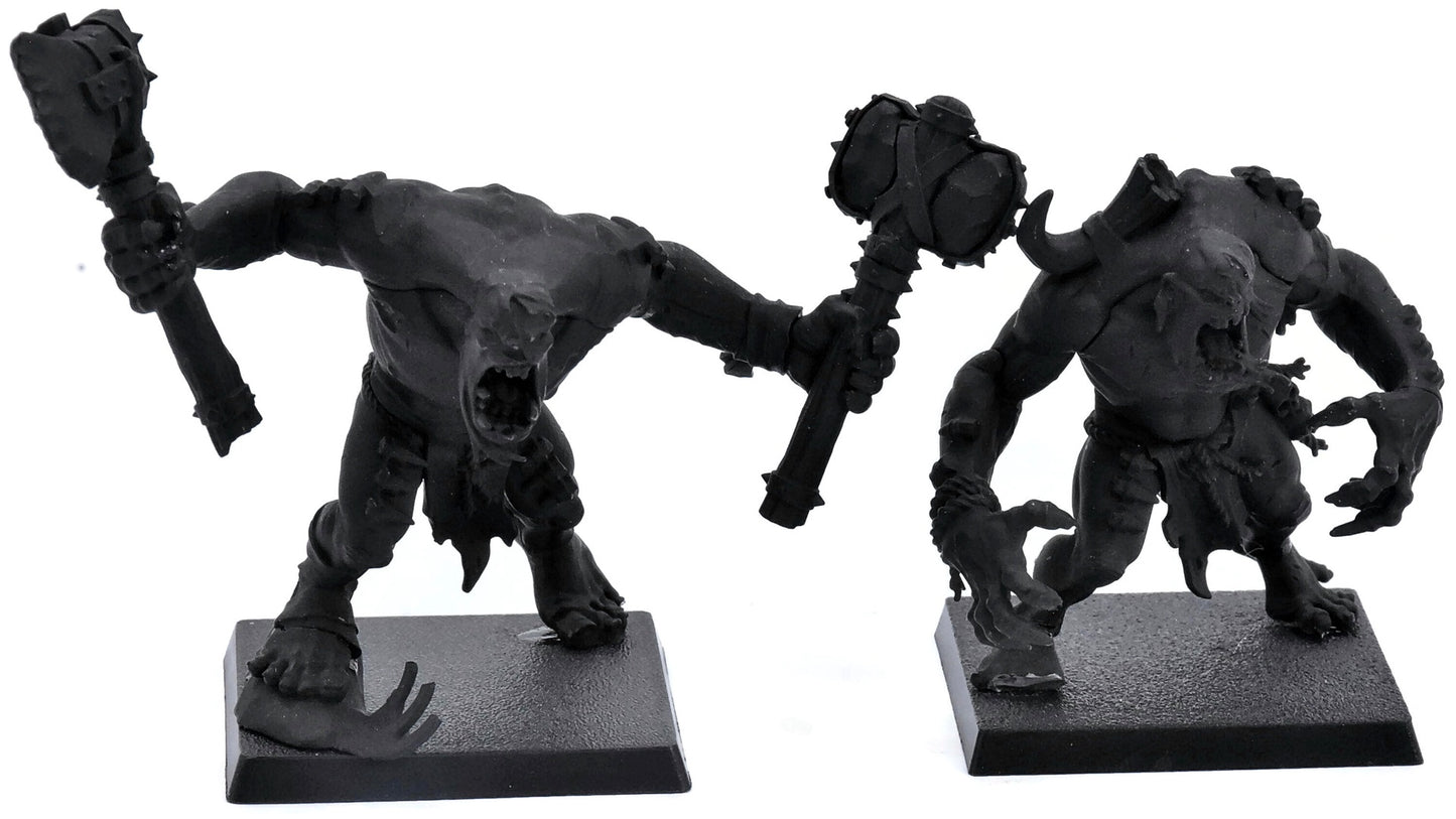 WARCRY 2 Gorger Mawpack #1 INCOMPLETE Sigmar 1433