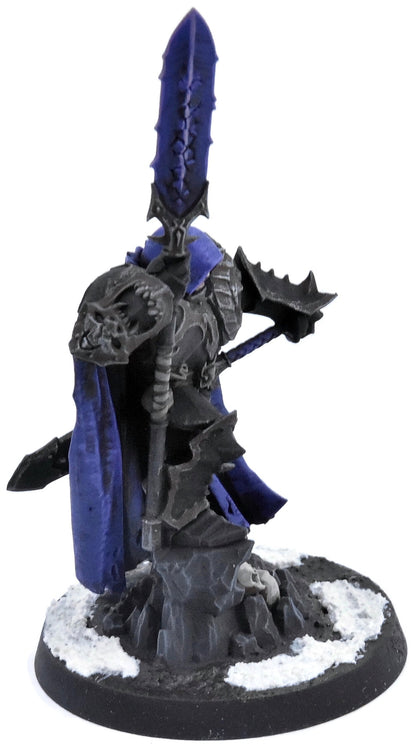 SLAVES TO DARKNESS Chaos Lord #1 WELL PAINTED Sigmar 1679