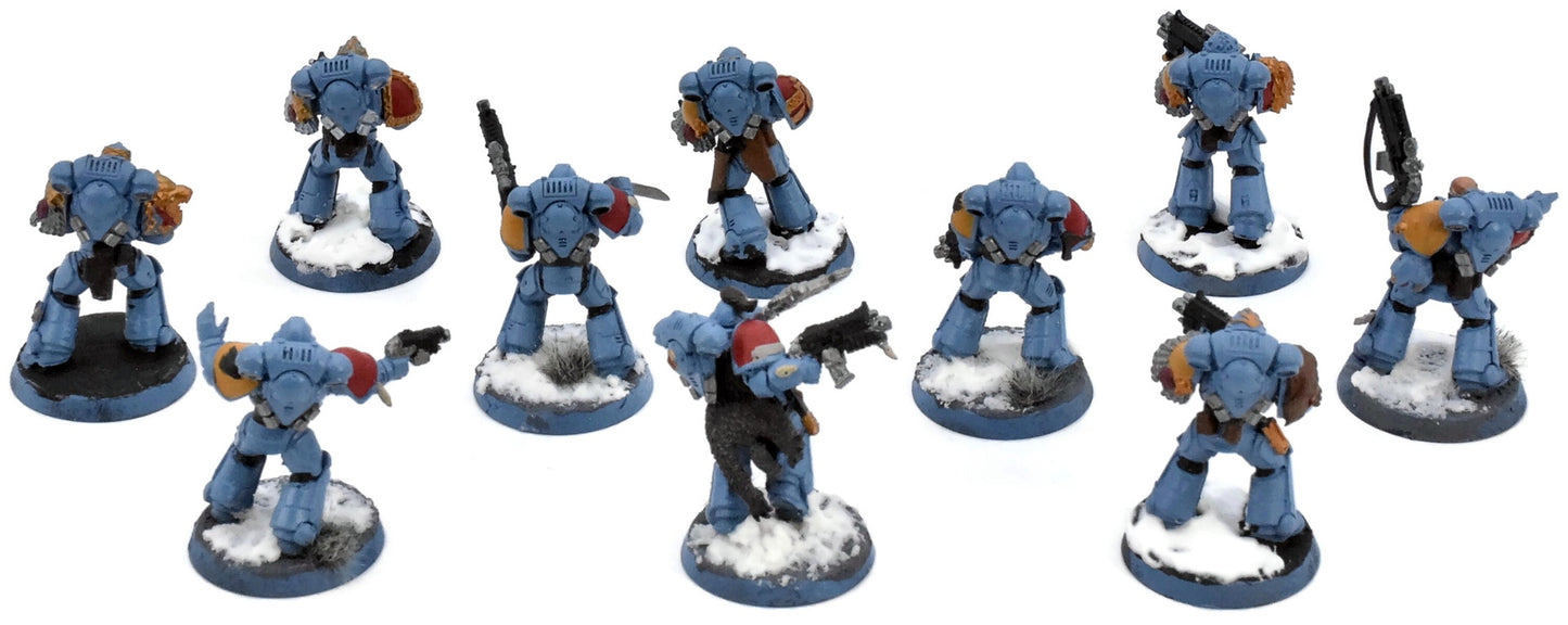 SPACE WOLVES 10 Intercessors #1 Warhammer 40K 7070
