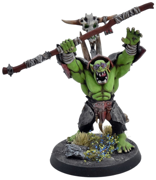 ORRUK WARCLANS Warchanter #2 PRO PAINTED Warhammer Sigmar 7575