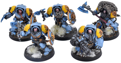 SPACE WOLVES 5 Terminators #1 PRO PAINTED Warhammer 40K 2829