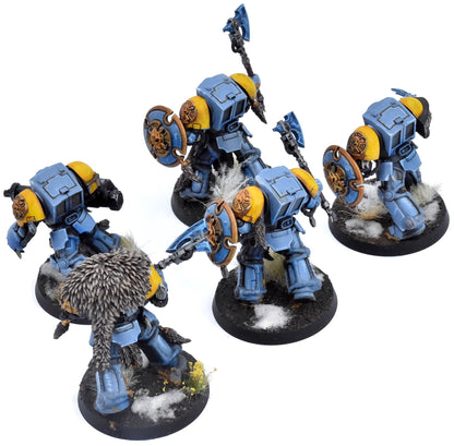 SPACE WOLVES 5 Terminators #1 PRO PAINTED Warhammer 40K 2829