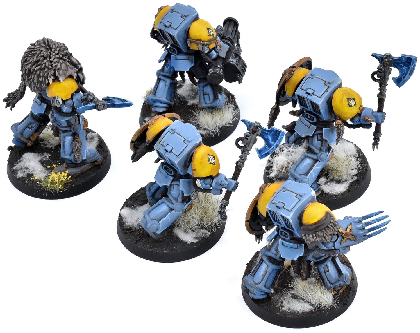 SPACE WOLVES 5 Terminators #1 PRO PAINTED Warhammer 40K 2829