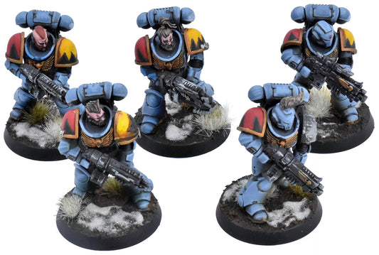 SPACE MARINES 5 Intercessors #1 PRO PAINTED Warhammer 40K 2836