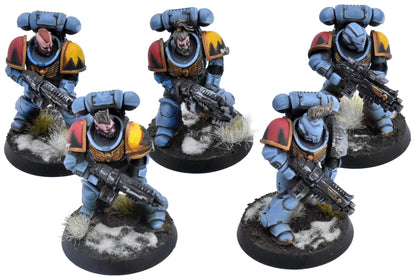 SPACE MARINES 5 Intercessors #1 PRO PAINTED Warhammer 40K 2836