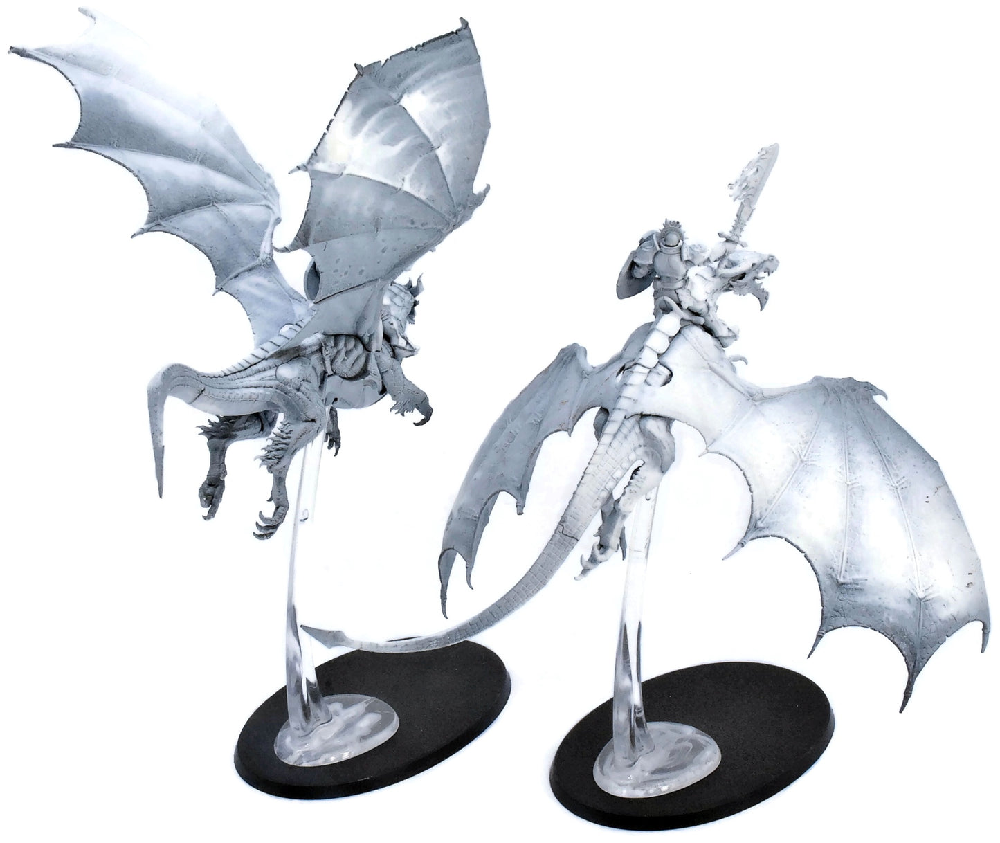 STORMCAST ETERNALS 2 Stormdrake Guard #1 Sigmar 2867