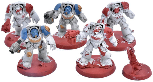 SPACE MARINES 5 Terminators #1 Warhammer 40K 3109