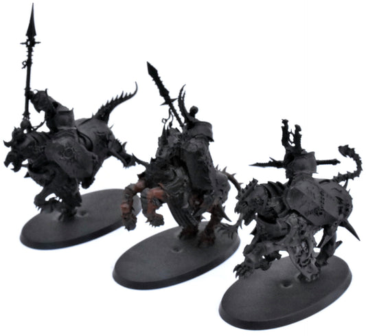 SLAVES TO DARKNESS 3 Varanguard #3 Sigmar 3116
