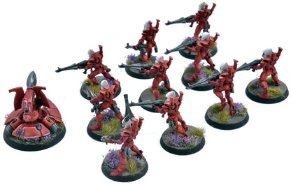 AELDARI 10 Guardians + Turret #1 PRO PAINTED Warhammer 40K 3185