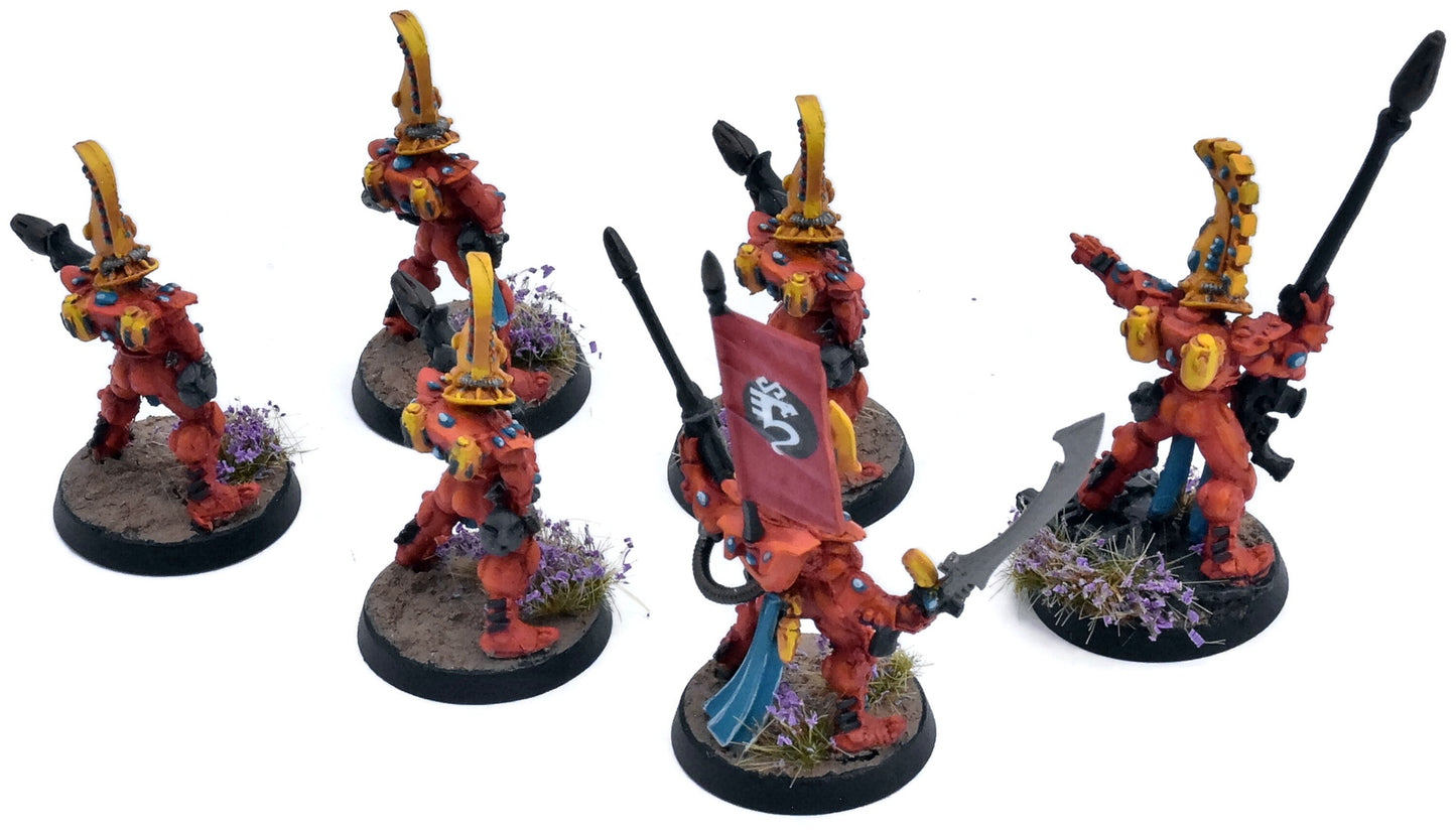 AELDARI 6 Fire Dragons #1 PRO PAINTED Warhammer 40K 3291