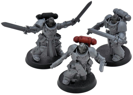 SPACE MARINES 3 Bladeguard Veterans #11  40K 9005 Converted intercessors