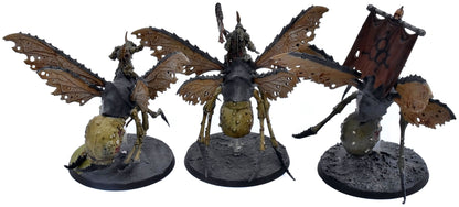 MAGGOTKIN OF NURGLE 3 Plague Drones Of Nurgle #1 Sigmar 4175