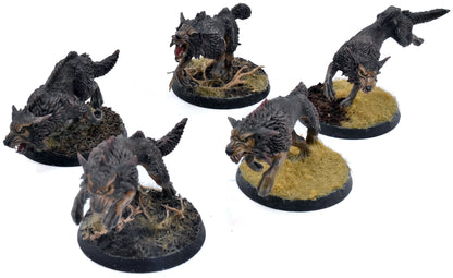 SPACE WOLVES 5 Fenrisian Wolves #1 WELL PAINTED Warhammer 40K 4687