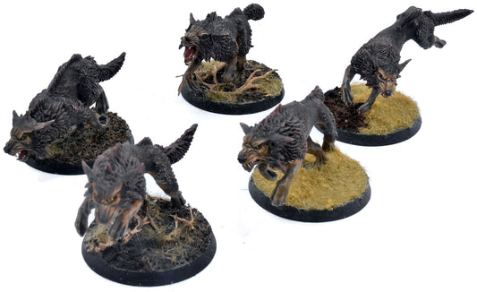 SPACE WOLVES 5 Fenrisian Wolves #1 WELL PAINTED Warhammer 40K 4687
