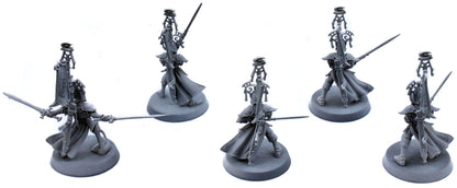 LUMINETH REALM-LORDS 5 Vanari Bladelord #1 Sigmar 5646