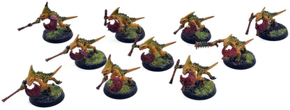 SERAPHON 10 Skinks #1 WELL PAINTED Warhammer Sigmar 1299