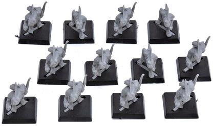 LIZARDMEN 12 Skinks #4 Warhammer Fantasy 5836