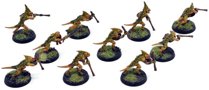SERAPHON 10 Skinks #1 WELL PAINTED Warhammer Sigmar 1299
