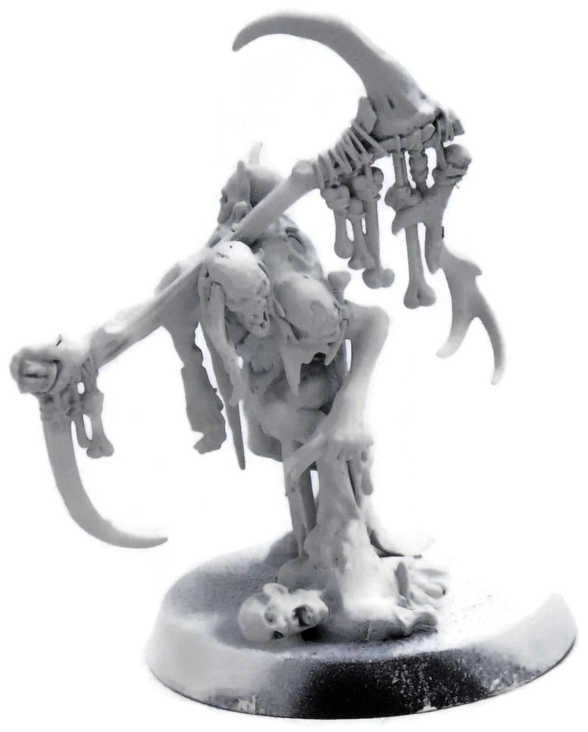 FLESH-EATER COURTS Marrowscroll Herald #1 Sigmar 5056