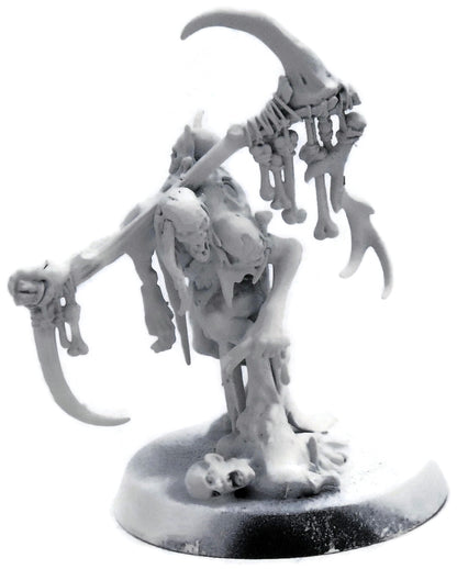 FLESH-EATER COURTS Marrowscroll Herald #1 Sigmar 5056
