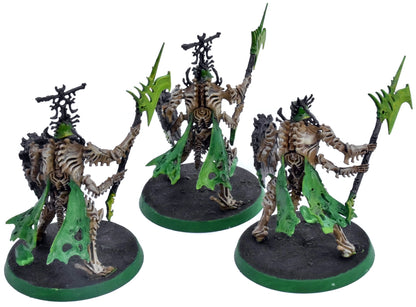 OSSIARCH BONEREAPERS 3 Immortis Guards #2 WELL PAINTED 6772