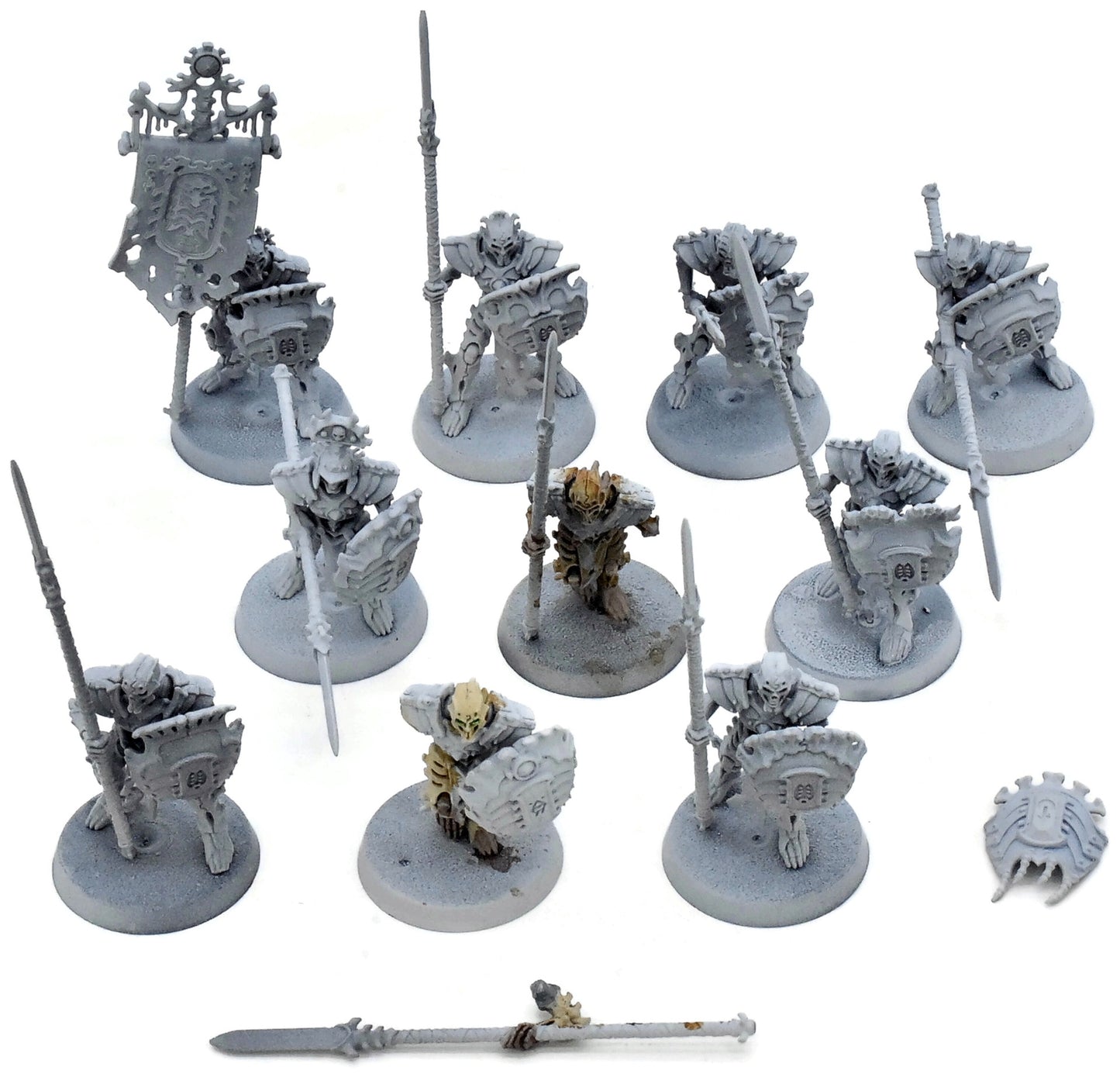 OSSIARCH BONEREAPERS 10 Mortek Guard #3 Warhammer Sigmar 8649