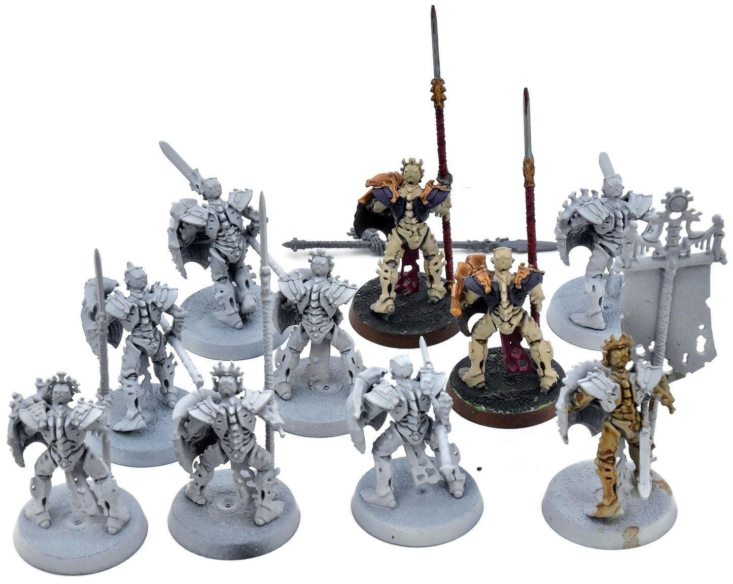 OSSIARCH BONEREAPERS 10 Mortek Guard #1 Warhammer Sigmar 8670