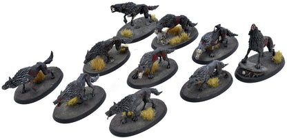 SOULBLIGHT GRAVELORDS 10 Dire Wolves #1 Warhammer Sigmar 9196