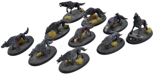 SOULBLIGHT GRAVELORDS 10 Dire Wolves #1 Warhammer Sigmar 9196