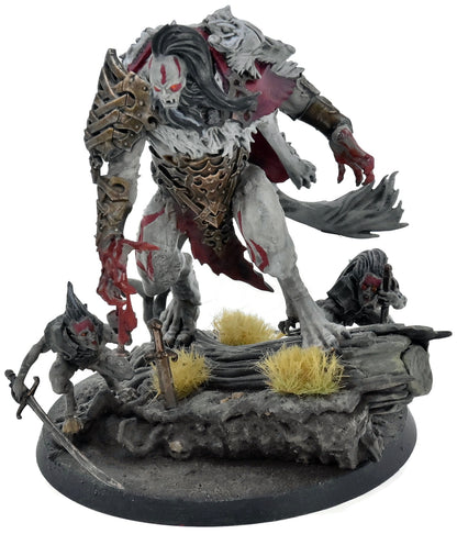 SOULBLIGHT GRAVELORDS Radukar The Beast #1 WELL PAINTED Warhammer Sigmar 9271