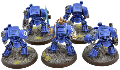SPACE MARINES 5 Terminators #1 WELL PAINTED Warhammer 40K 8936