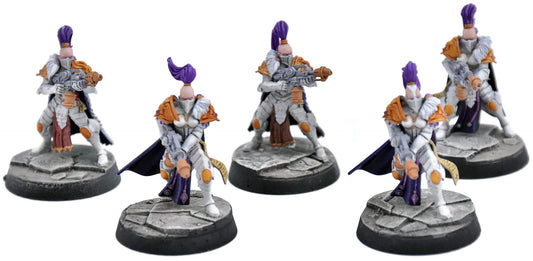 ADEPTUS CUSTODES 5 Sisters Of Silence #2 WELL PAINTED Warhammer 40K 7463