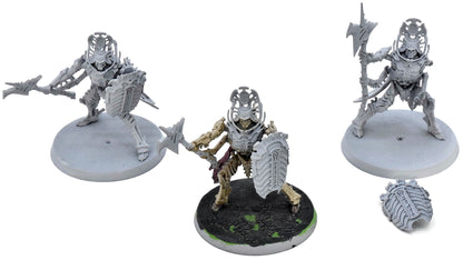 OSSIARCH BONEREAPERS Immortis Guard #1 Warhammer Sigmar 9882