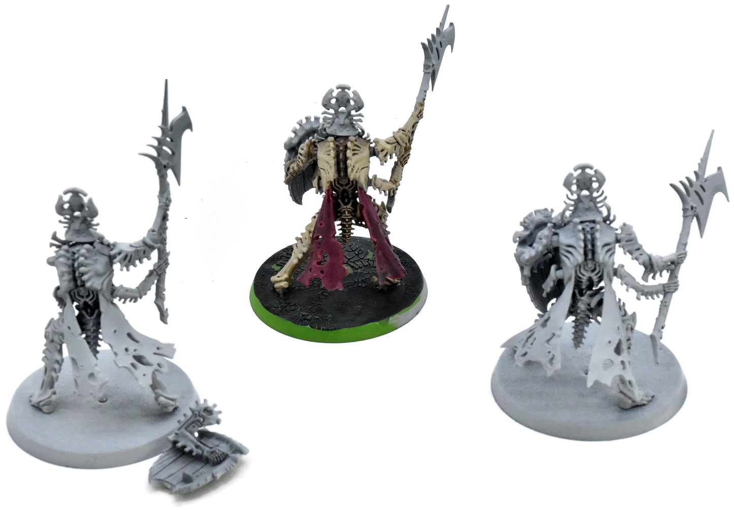OSSIARCH BONEREAPERS Immortis Guard #1 Warhammer Sigmar 9882