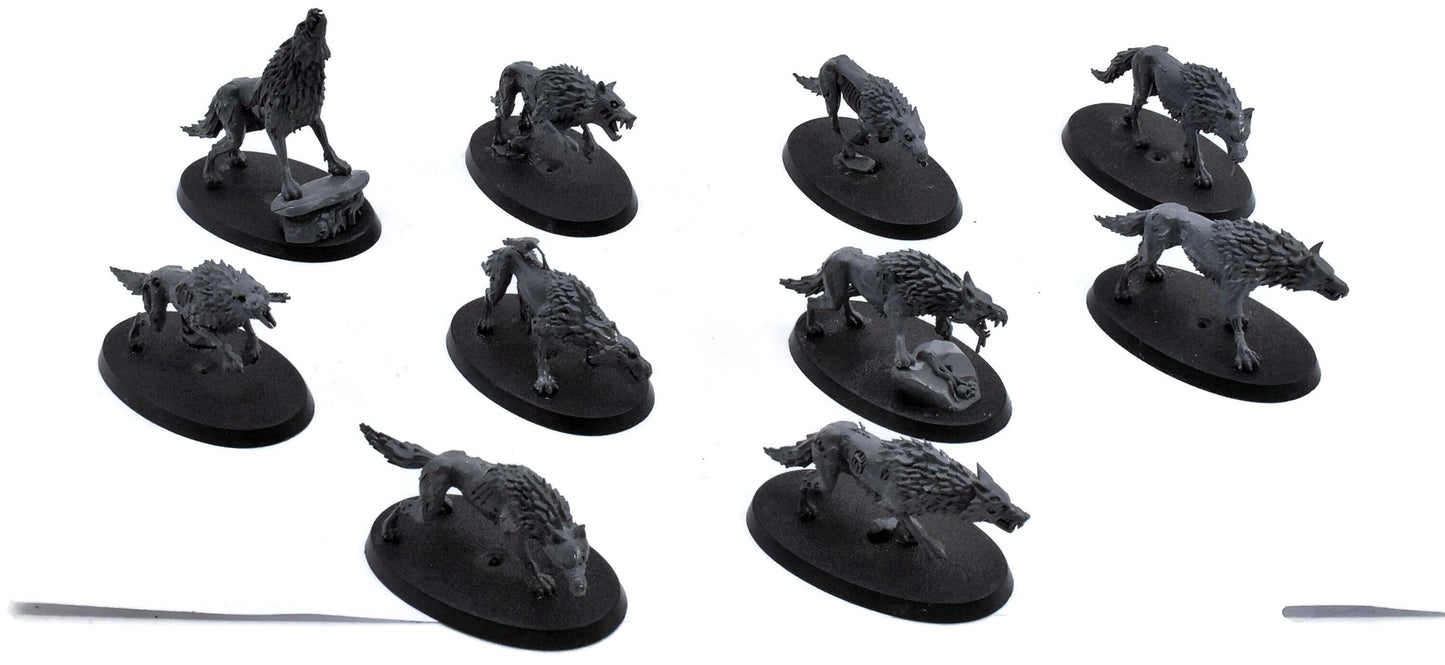 SOULBLIGHT GRAVELORDS 10 Dire Wolves #12 Sigmar 9537