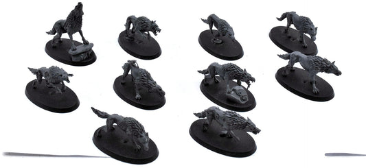 SOULBLIGHT GRAVELORDS 10 Dire Wolves #12 Sigmar 9537
