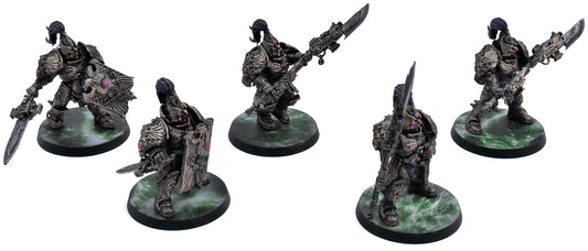 ADEPTUS CUSTODES 5 Custodian Guard Squad #1 WELL PAINTED Warhammer 40K 7708