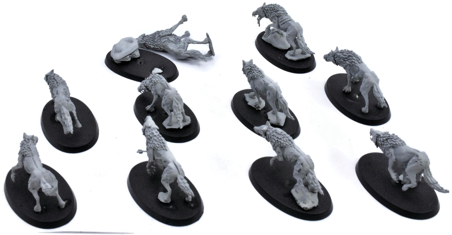 SOULBLIGHT GRAVELORDS 10 Dire Wolves #1 Sigmar 9599