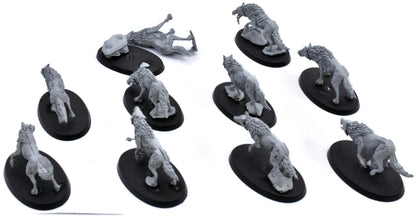 SOULBLIGHT GRAVELORDS 10 Dire Wolves #1 Sigmar 9599