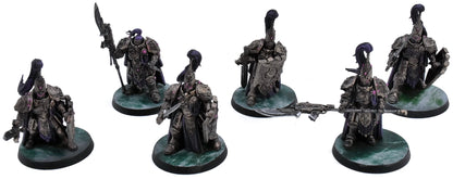 LEGIO CUSTODES 6 Legio Custodes Custodian Guard Sodality #1 WELL PAINTED 7739
