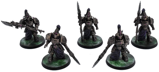 ADEPTUS CUSTODES 5 Custodian Wardens #2 WELL PAINTED 40K 7746