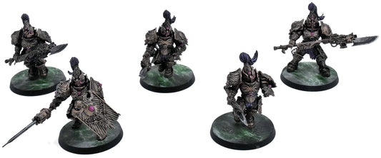 ADEPTUS CUSTODES 5 Custodian Guard Squad #2 WELL PAINTED 40K 7753