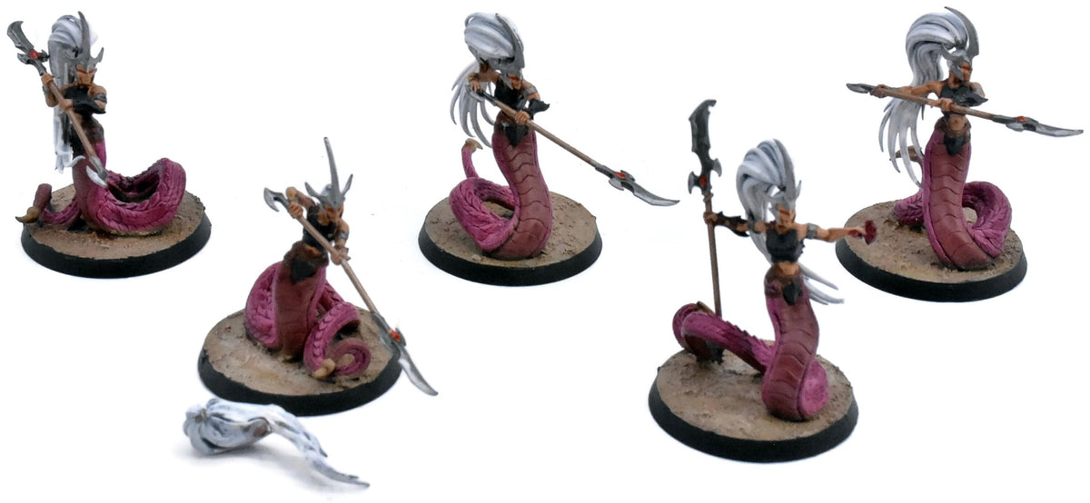 DAUGHTERS OF KHAINE 5 Blood Sisters #1 Sigmar 7876