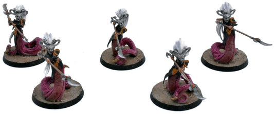 DAUGHTERS OF KHAINE 5 Blood Sisters #4 Sigmar 7913