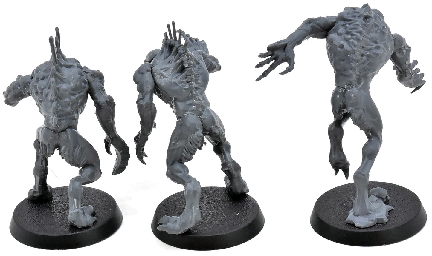 FLESH-EATER COURTS 3 Crypt Horrors #1 Warhammer Sigmar 0581