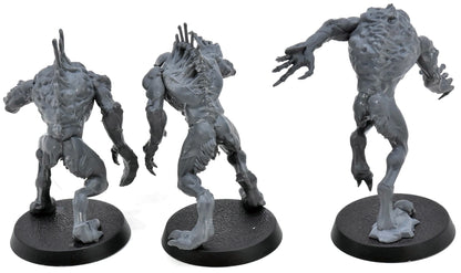 FLESH-EATER COURTS 3 Crypt Horrors #1 Warhammer Sigmar 0581